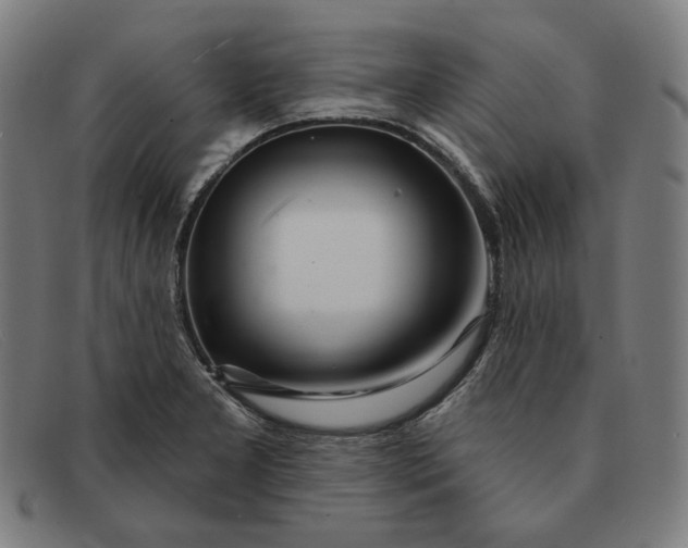 X0000091311277200708311349