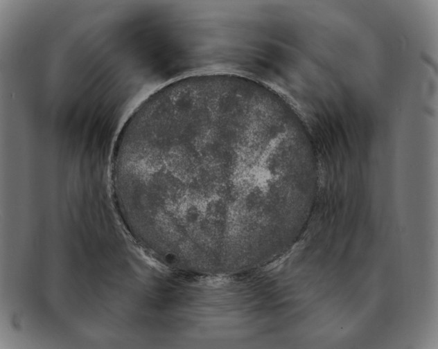 X0000091311278200708311349