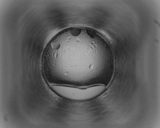 X0000091311279200708311349