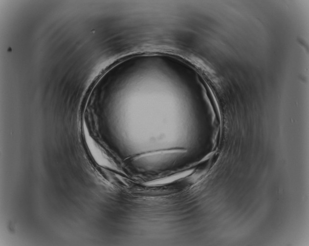 X0000091311280200708311349