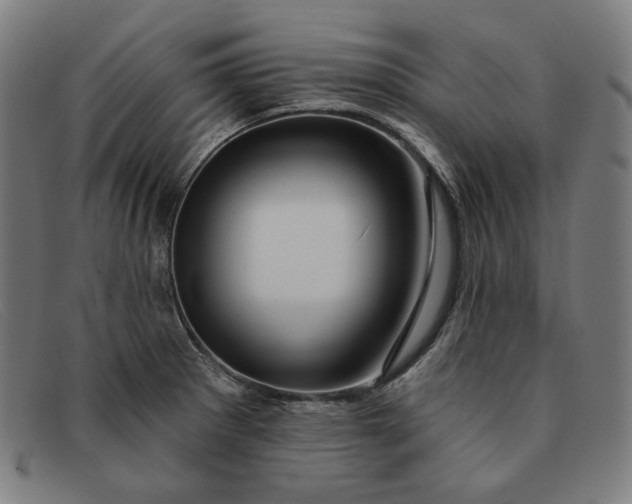 X0000091311281200708311349