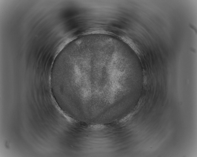 X0000091311282200708311349