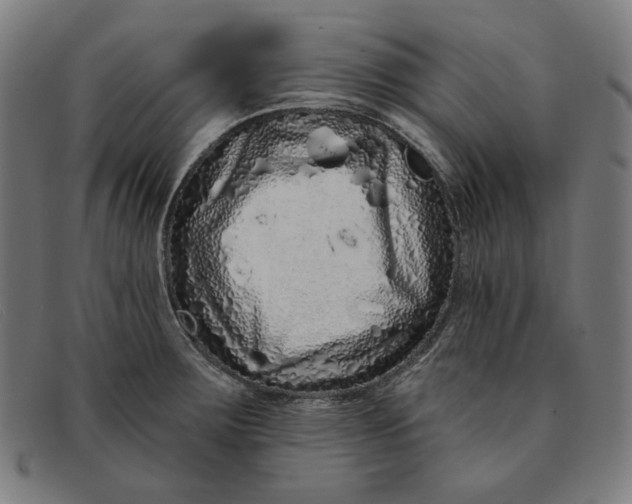 X0000091311283200708311349