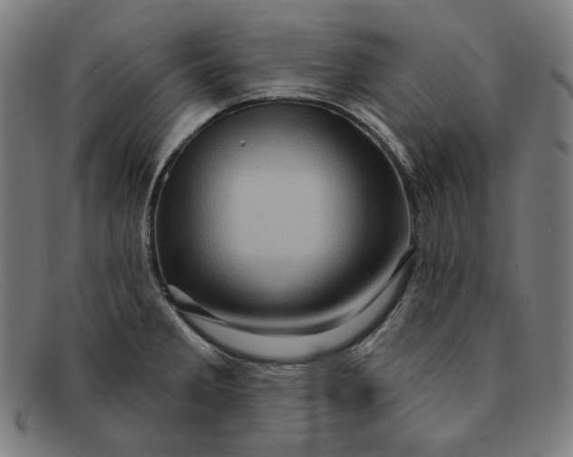 X0000091311285200708311349