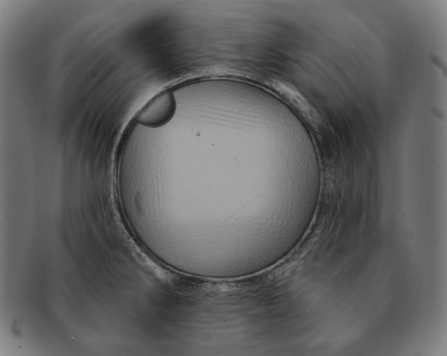 X0000091311286200708311349