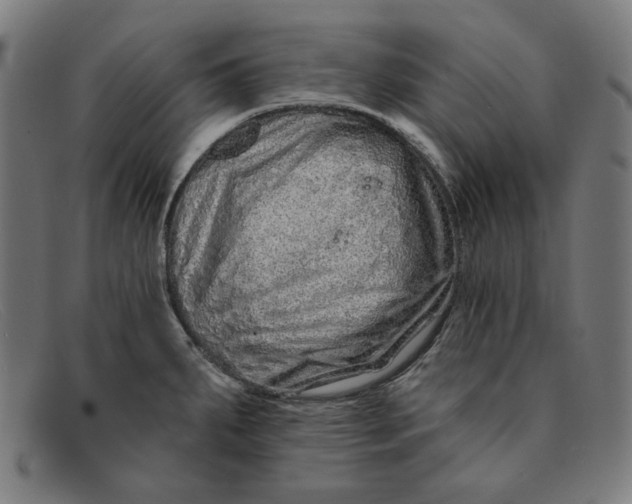 X0000091311287200708311349