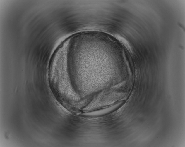 X0000091311288200708311349