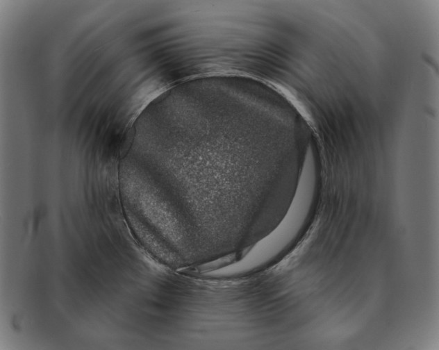 X0000091311289200708311349