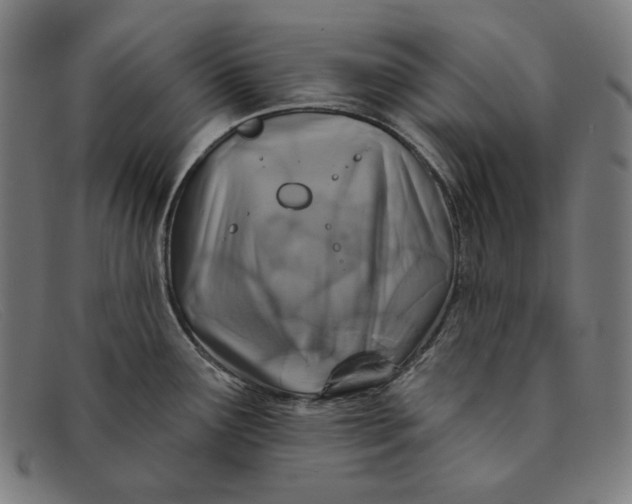 X0000091311291200708311349