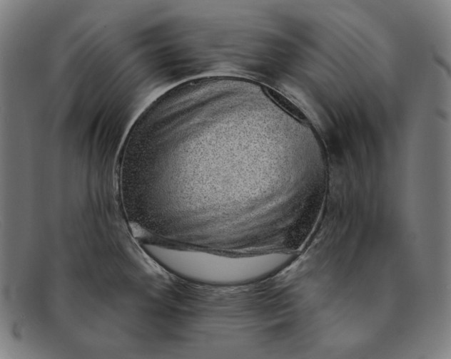 X0000091311292200708311349