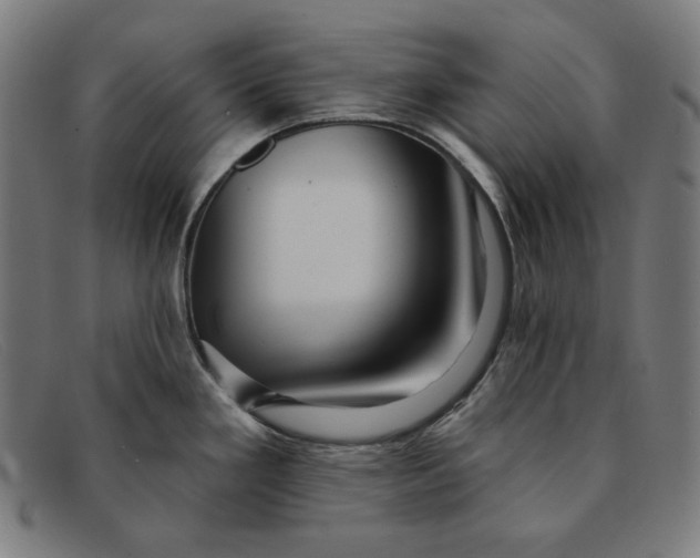 X0000091311293200708311349