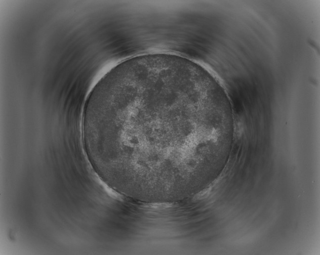 X0000091311294200708311349