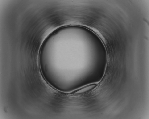 X0000091311295200708311349