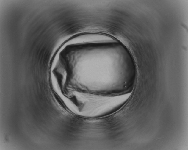 X0000091311296200708311349