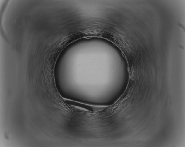 X0000091311297200708311348