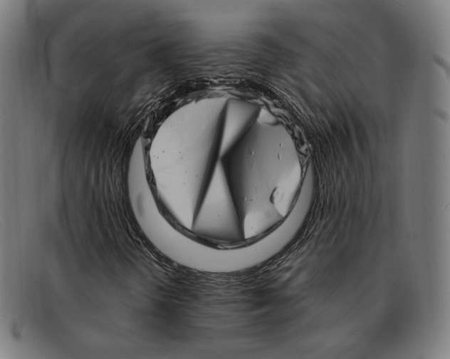 X0000091311298200708311348