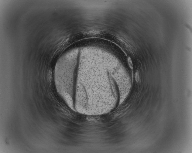 X0000091311299200708311348