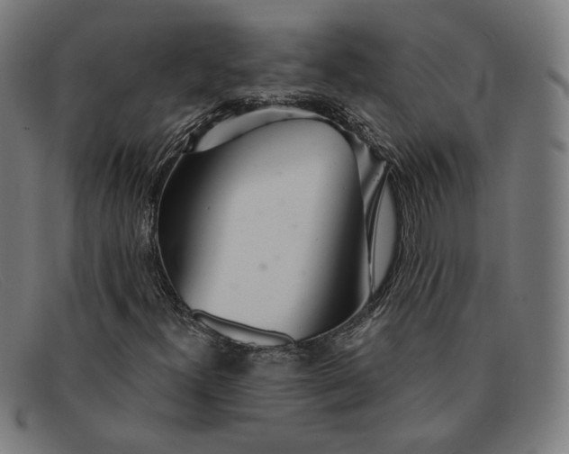 X0000091311300200708311348