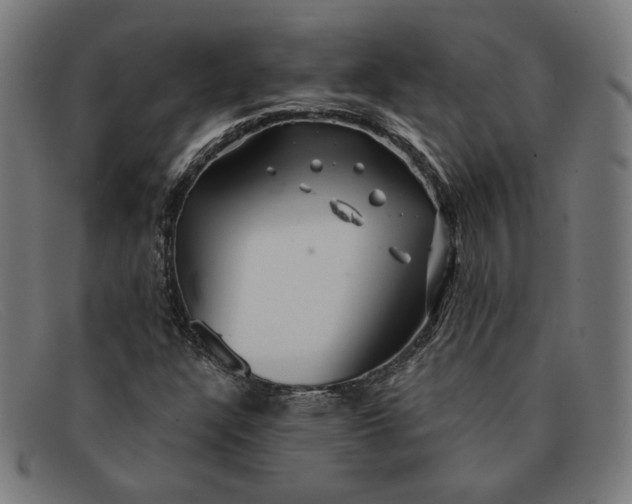 X0000091311304200708311348