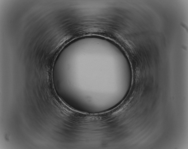 X0000091311305200708311349