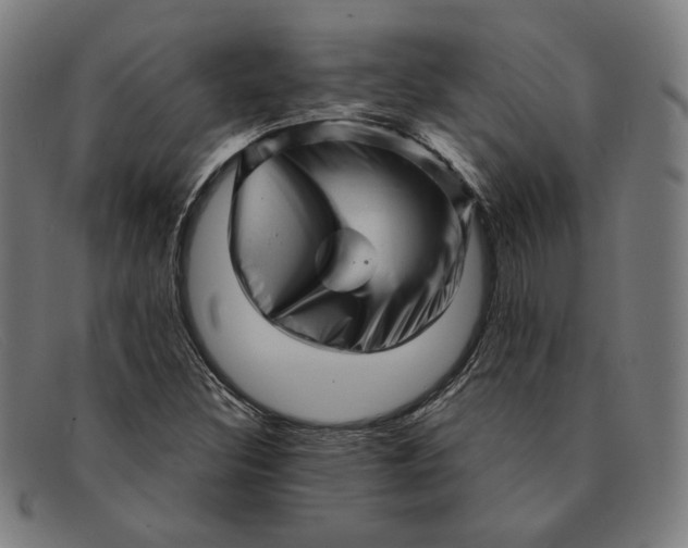 X0000091311308200708311349