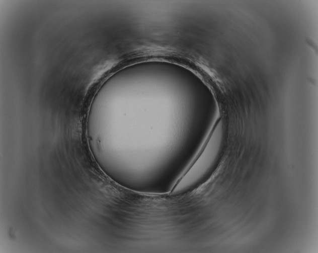 X0000091311309200708311349