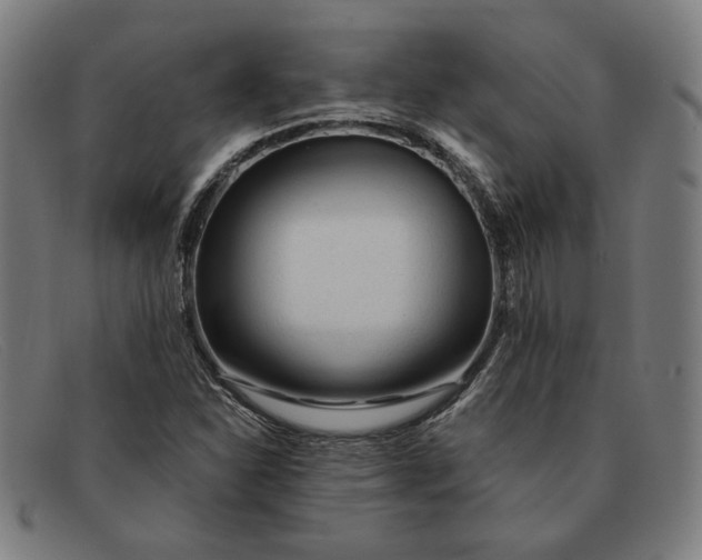 X0000091311310200708311349