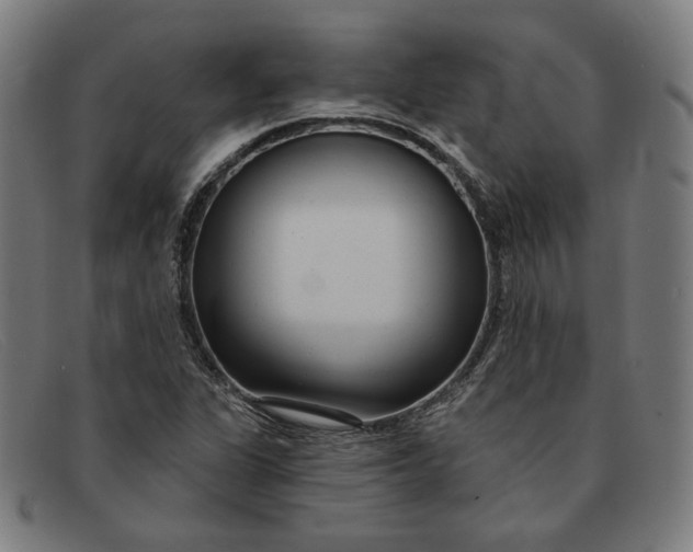 X0000091311311200708311349