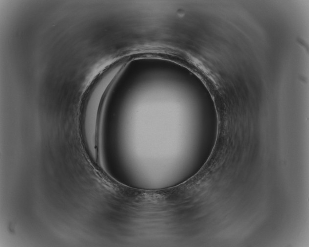 X0000091311312200708311349