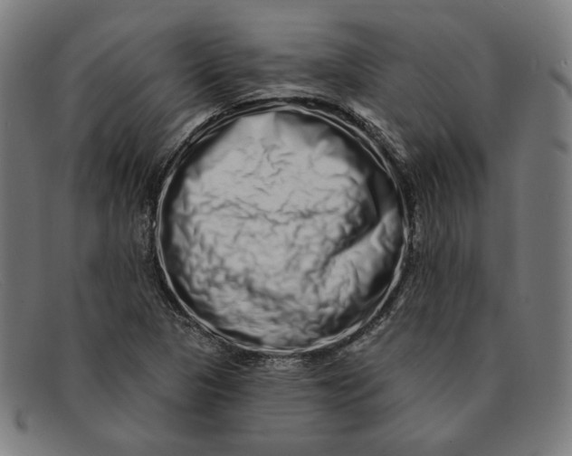 X0000091311313200708311349