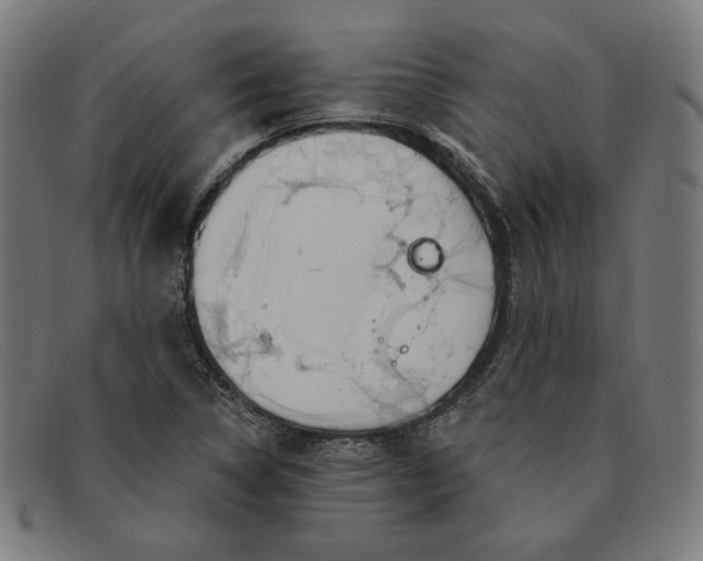 X0000091311314200708311349