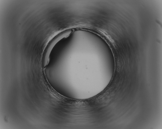 X0000091311316200708311349