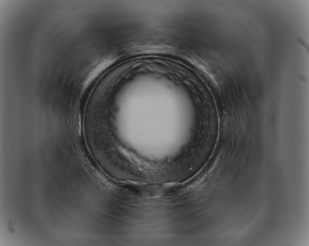 X0000091311317200708311349