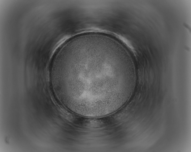 X0000091311318200708311349