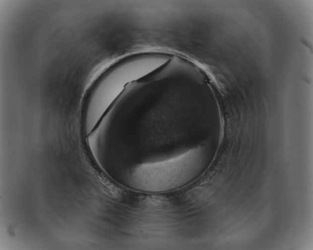 X0000091311319200708311349