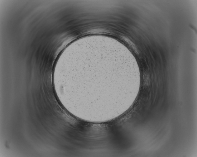 X0000091311322200708311349