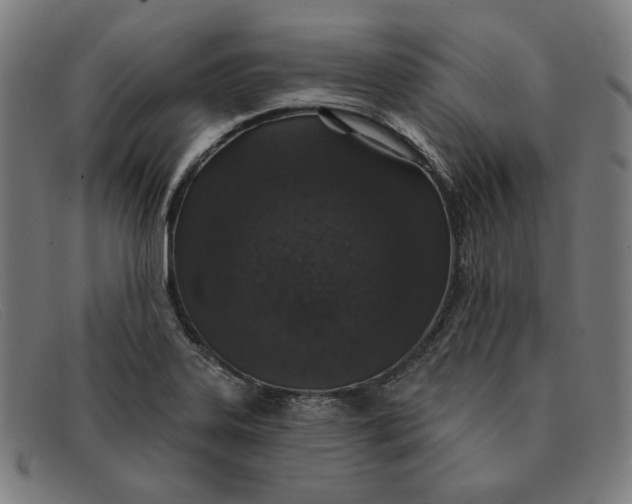 X0000091311323200708311349