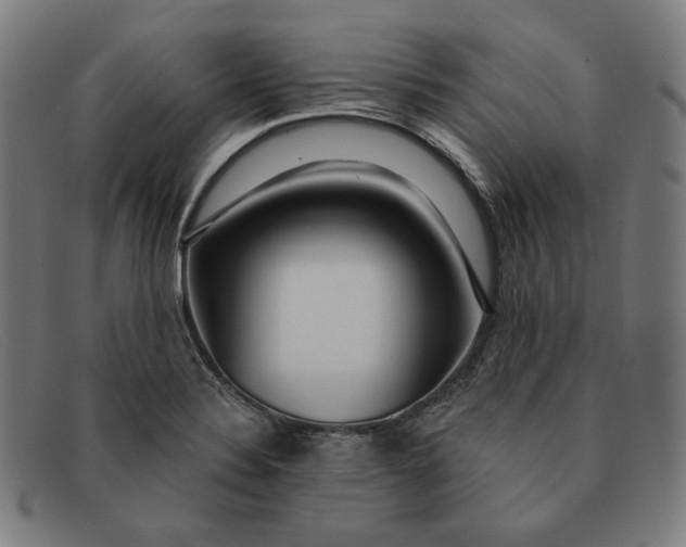 X0000091311324200708311349