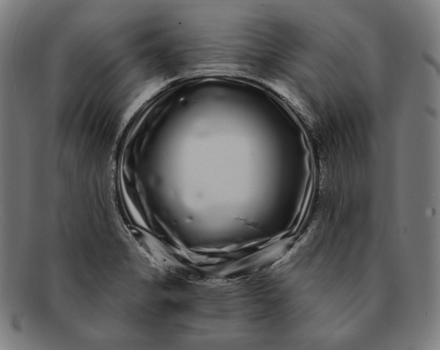 X0000091311325200708311349