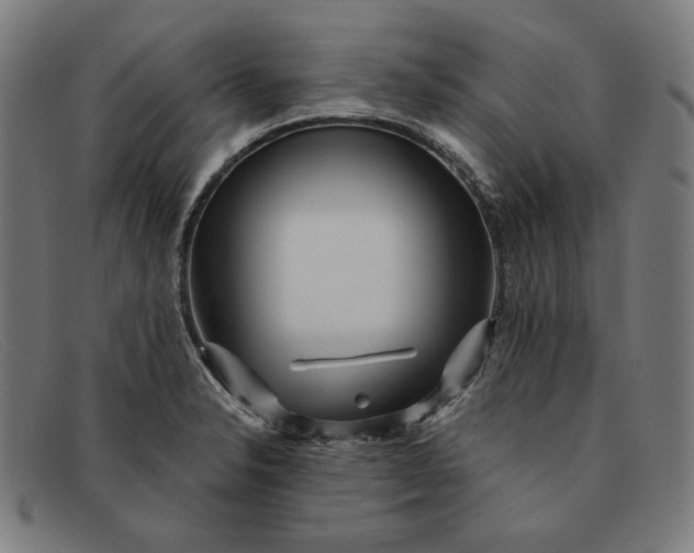 X0000091311326200708311349