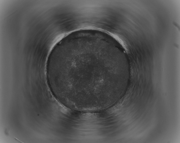 X0000091311327200708311349