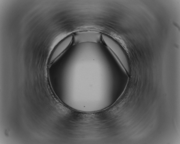 X0000091311328200708311349