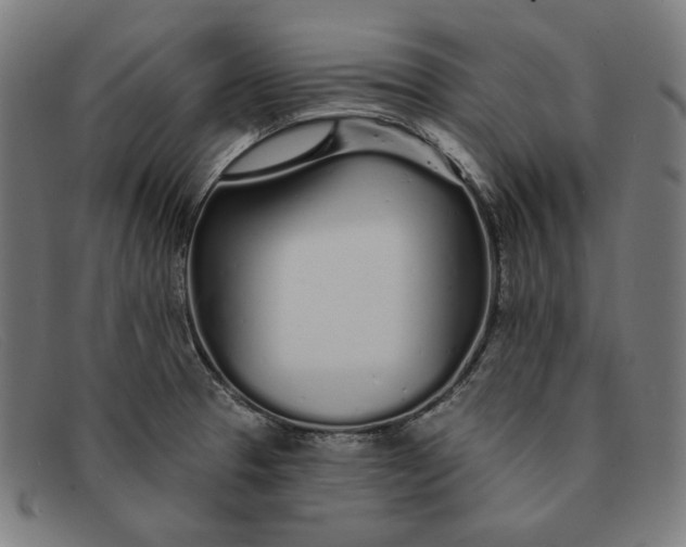 X0000091311329200708311349