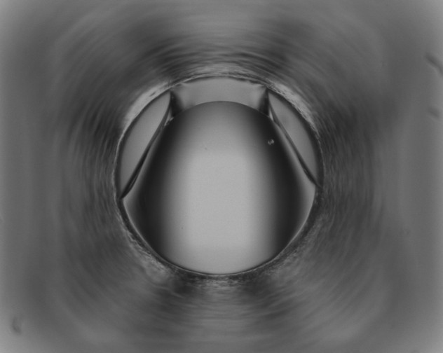 X0000091311330200708311349