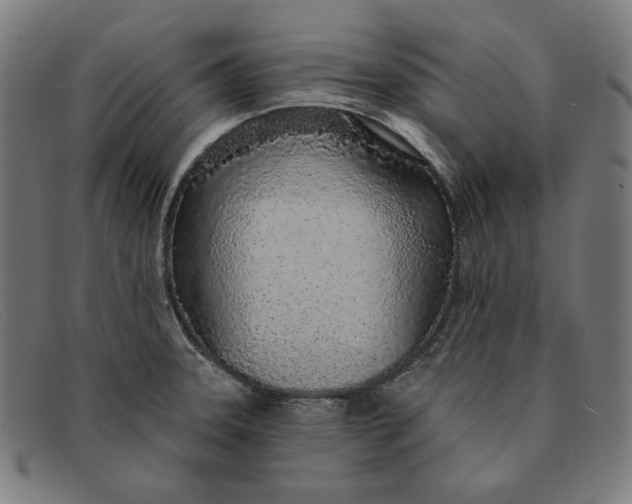 X0000091311331200708311349