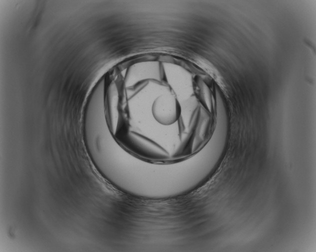 X0000091311332200708311349