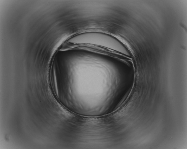 X0000091311333200708311349