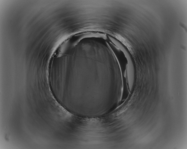 X0000091311334200708311349