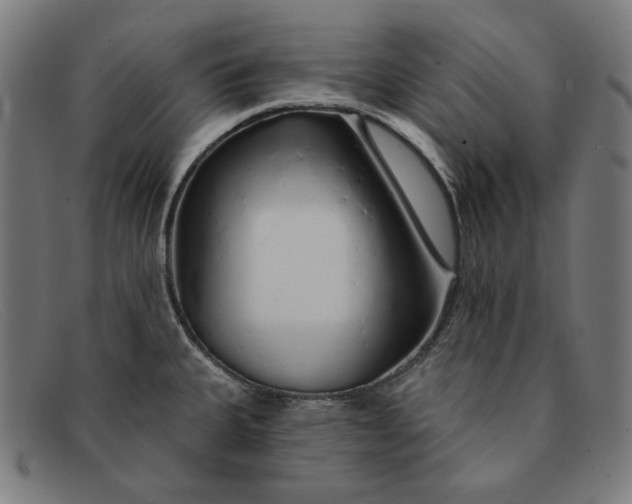 X0000091311335200708311349