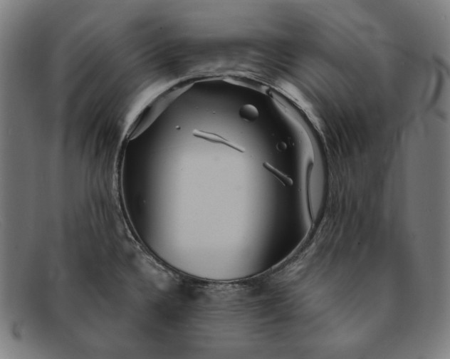 X0000091311336200708311349